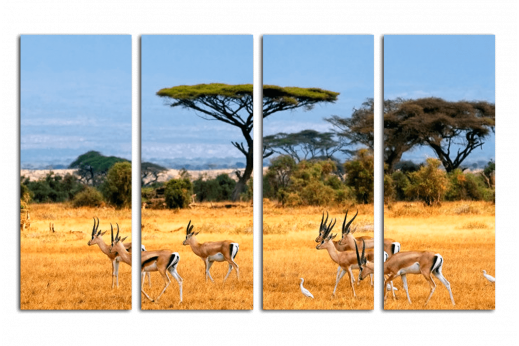 Модульная картина Антилопы в саванне
